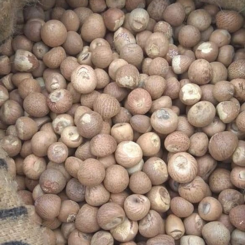 Arecanut from India